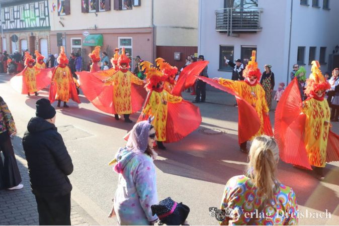 Die Kostüme der "Altstadtborzeler" profitierte von der Sonne beim Umzug am Dienstag besonders stark.