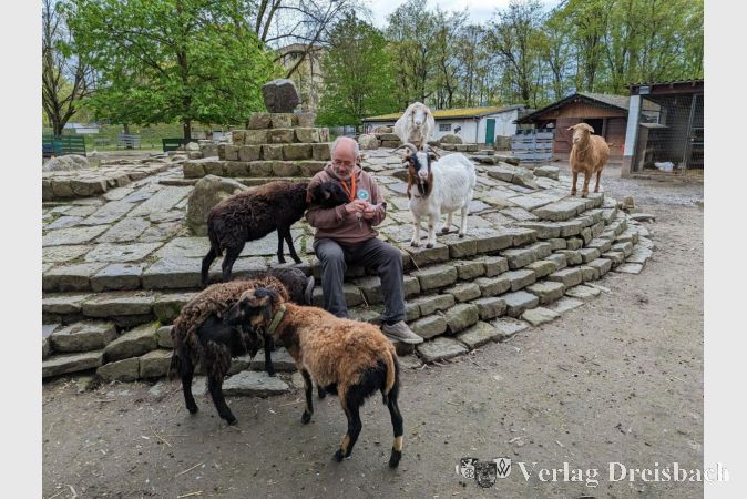 Klaus Ferkau bei der Fütterung der dunkelbraunen Zwergschafe Lisa (oben), Hans (Mitte) und Melly (unten). Weitere Parkbewohner fühlen sich - verständlicherweise - ebenfalls angelockt.