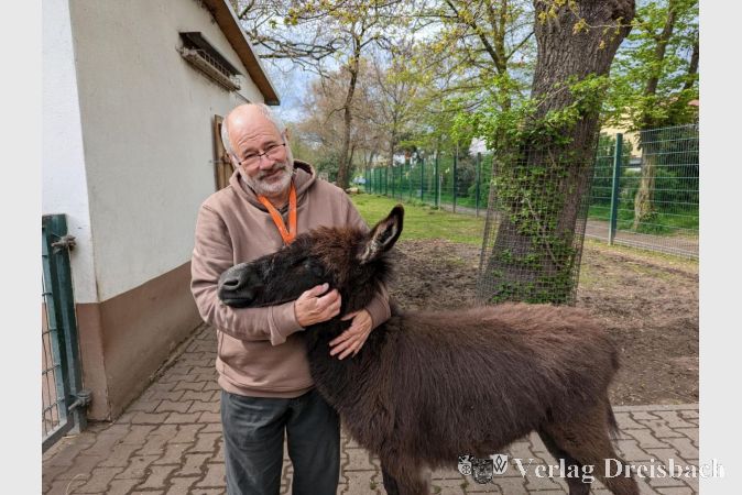 Klaus Ferkau mit Eselin Marina, die am 1. September 2022 geboren wurde.