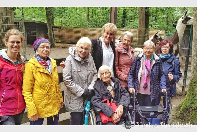 Interessante Zaungäste: Von den Alpakas waren die Besucherinnen aus dem Kursana Domizil Kriftel begeistert.