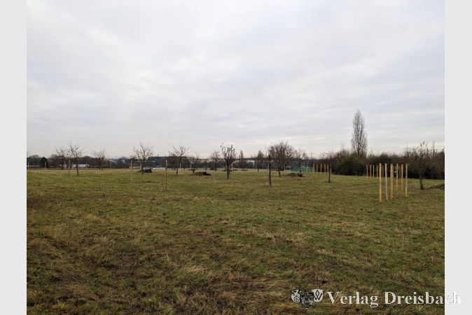 Auf der Wiese „Auf der Hub“ in fußläufiger Entfernung zur Heinrich-Böll-Schule fanden am vergangenen Samstag 70 neue Obstbäume eine neue Heimat.
