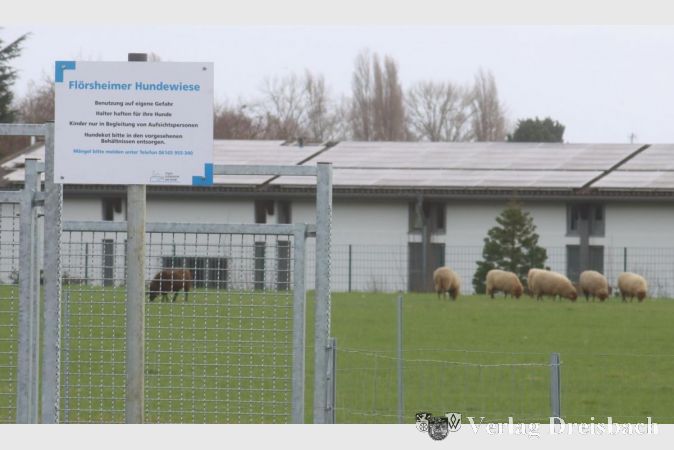 Es ist zu empfehlen, dass Hundehalter mit Tieren, die einen großen Jagdtrieb zeigen, sich gut auf den Besuch vorbereiten, denn die potenzielle Beute findet sich in Sichtweite hinter dem Zaun.