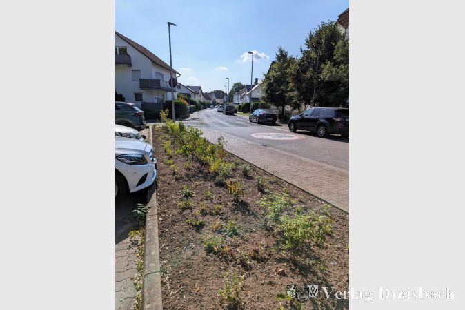 "Am Mühlbach" besteht das Beet jetzt neuerdings aus einer bienenfreundlichen Staudenmischpflanzung.