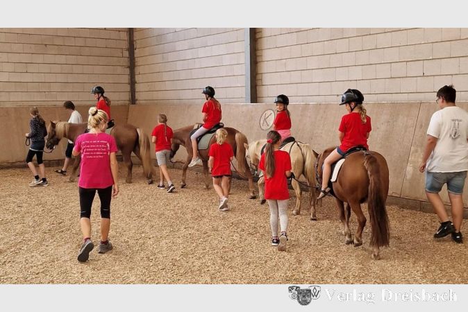 Reiten auf den hofeigenen Ponys.