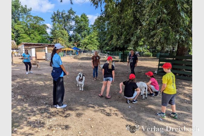 Die Ferienspielkinder bei den Ziegen im Tierpark.