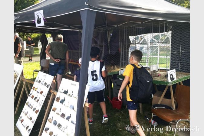 Interessierte Kinder am Stand des Kleintierzüchtervereins.