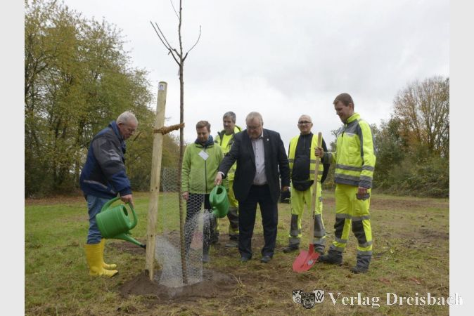 Stadtverordnetenvorsteher Georg Reuter (links) und Bürgermeister Klaus Schindling (Mitte) beim Pflanzen eines Baumes.