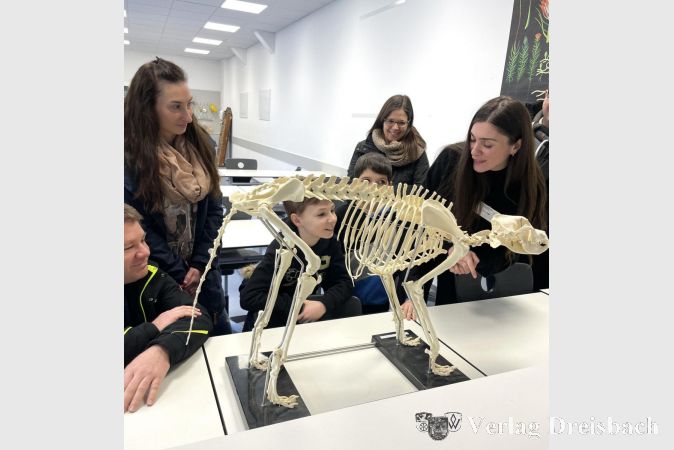 Biologielehrerin Aylin Akyüz präsentierte ein Hundeskelett.