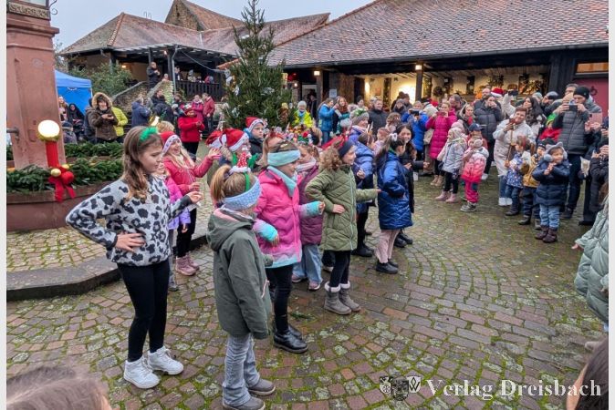 Die „Tanzmäuse“ des M.G.V. Harmonie zeigten ihre schwungvolle Performance und zauberten den Besuchern ein Lächeln ins Gesicht.