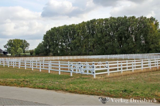 Blick vom Eingangstor des Vereinsgeländes auf Koppel und Therapie-Reitweg. Auf einem großen Teil dieser Fläche würde der neue Deich entstehen.