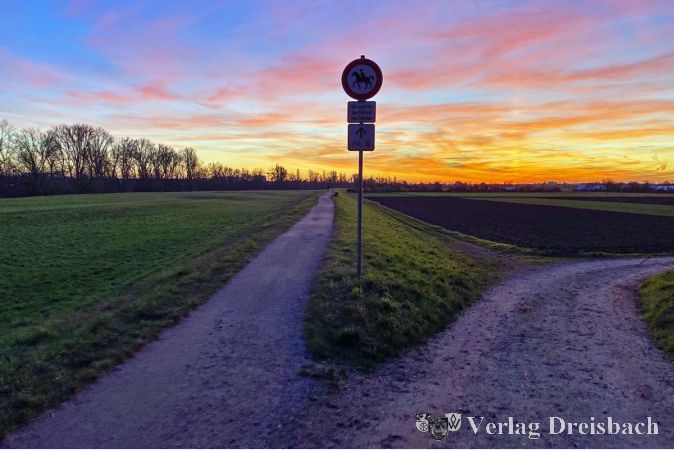 Der bisherige Deich in Richtung Flörsheim.
