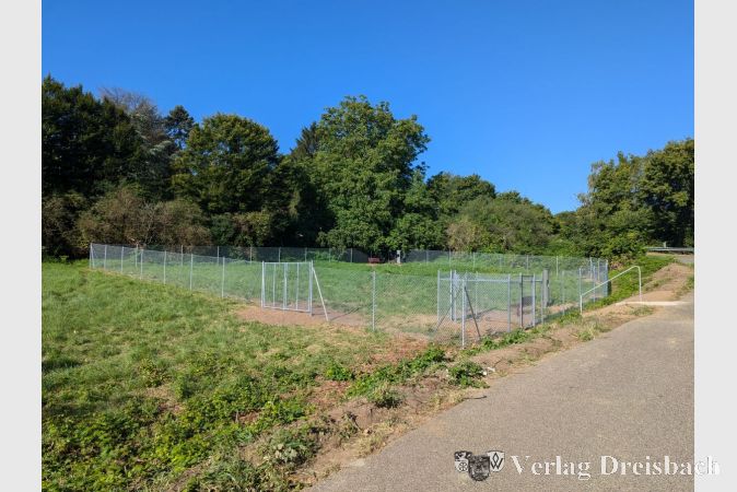 Die Hundewiese unterhalb der Bonifatiuskapelle.