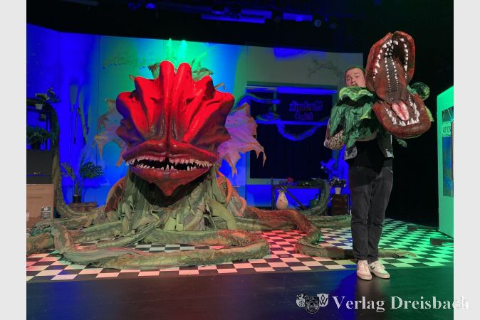 Im Laufe des Stückes entwickelt sich Audrey II über eine mittelgroße Pflanze zu einem menschenfressenden Monster mit gefährlichen Tentakeln – gruselig und komisch zugleich.