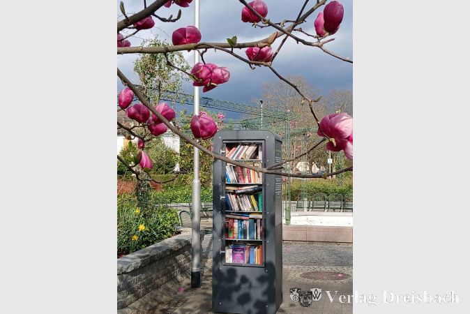 Seit Herbst 2024 steht ein öffentlicher Bücherschrank am Platz von Airaines.