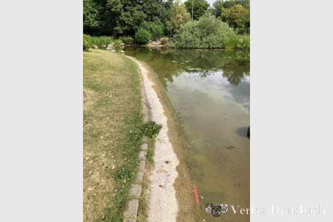 Der Weiher im Stadtpark wird derzeit vom Schlamm befreit. Dabei sollen werden auch Reparaturen durchgeführt sowie die Pumpen- und Fontänentechnik überprüft.