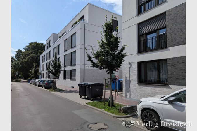 Bäume als Abgrenzung zwischen den Parkplätzen an der Bebauung des ehemaligen ROWG-Geländes.