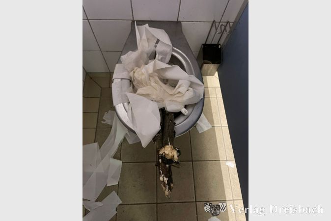 Immer wieder wurde die öffentliche Toilette im Freizeitpark zuletzt Opfer von Vandalismus.