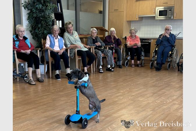 Rauhhaardackel Benny sorgte auf dem Roller für staunende Gesichter.