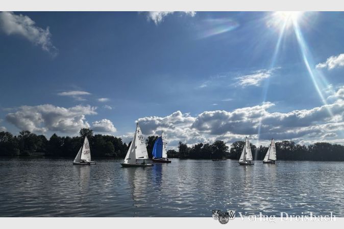 15 Boote der Klassen Aquila, Conger und Microcupper sowie zwei 420er-Jollen segelten bei der Stadtmeisterschaft auf dem Main um die Wette.