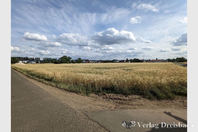 Hier soll das neue Quartier am Ortseingang des Stadtteils Eddersheim entstehen.