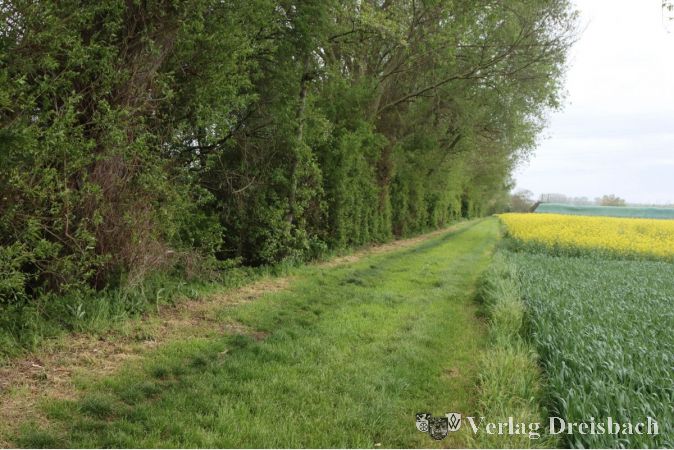 Der Weilbach mit seiner Baumeinfassung wird wohl noch etwas länger als es sich zuletzt abzeichnete auf sich warten lassen, der Bund setzte das Projekt auf eine lange Streichliste, um den Haushalt zu entlasten.