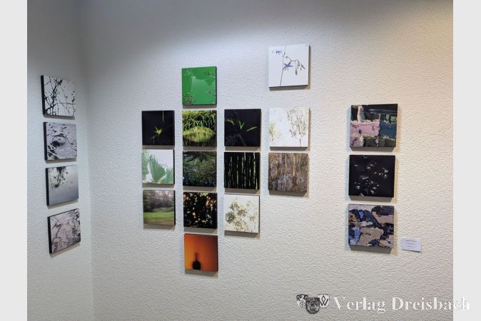 "Fotokacheln" von Monica M. Stencl.