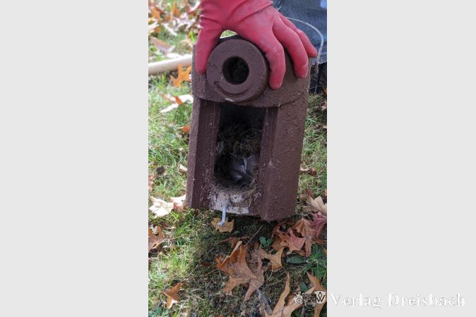 Ein "belegter" Nistkasten.