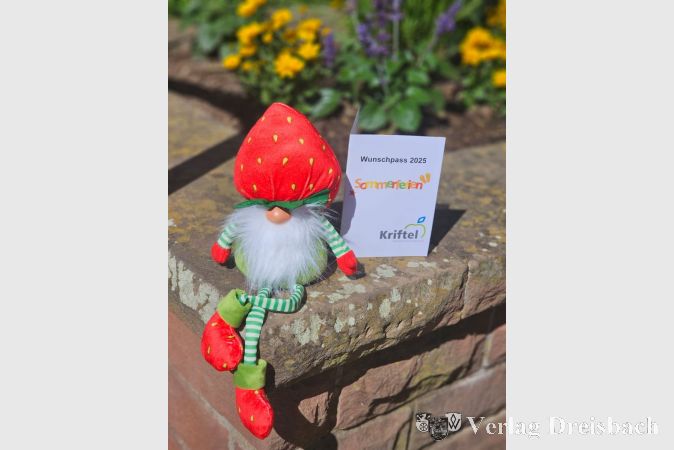 72 Mal wurde in diesem Jahr der Wunschpass ausgegeben.