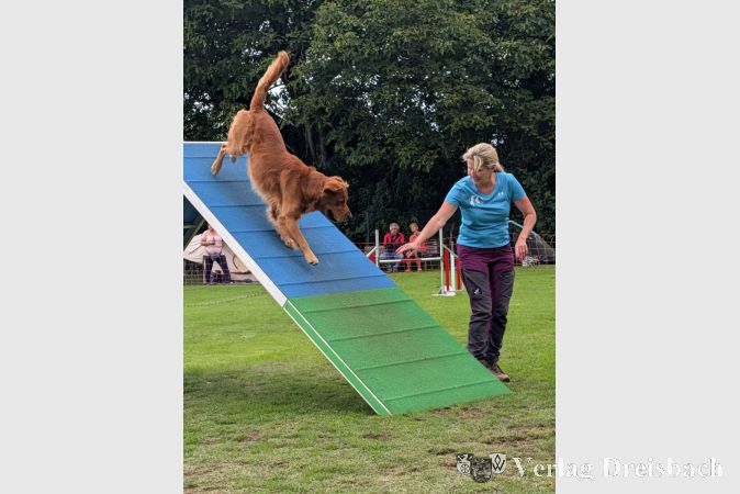 Agility im Team: Vereinsmitglied Anja Eyring und ihr Hund Sly in Aktion.