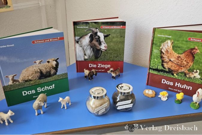 Bücherauswahl im Schulkinderhaus.