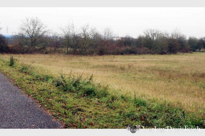 Es mag nicht die ökologisch wertvollste Grünfläche in der Flörsheimer Gemarkung sein, dass die GALF nach anfänglicher Ablehnung die Entwicklung des Gewerbegebietes West V.2 in der Koalition mitträgt, mag ökologisch besorgte Bürgerinnen und Bürger dennoch verwundern. Das Planverfahren sei zu weit fortgeschritten, um das Projekt zu stoppen, sagt die GALF heute dazu.