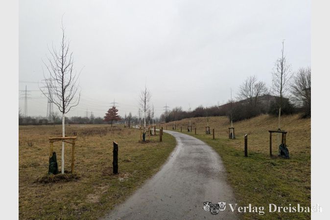 Foto: Gemeinde
Projekt „Mehr Grün für Kriftel“: Spenderinnen und Spender fördern durch den Erwerb eines Baumes die Bürgerstiftung.