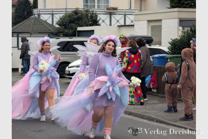 Foto: mpk
Die Privatgruppe Zauberwald holte sich den ersten Preis als beste Fußgruppe des Hattersheimer Umzugs.