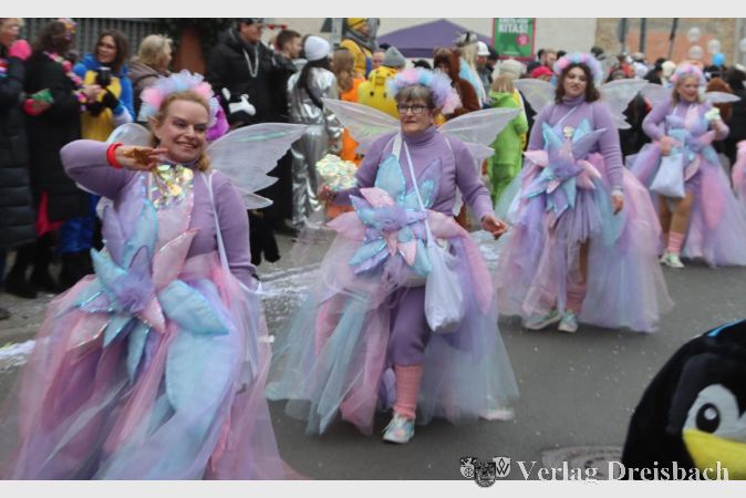 Foto: gus
Die Privatgruppe Dankert entführte mit glitzernden Kleidern in den Zauberwald.