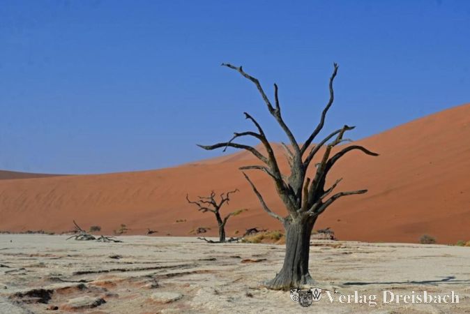 Foto: Peter Dommermuth