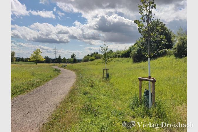 Foto: Gemeinde
Baumpatenschaften im Ziegeleipark.