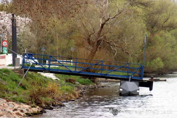 Foto: gus
Der Steg ist zurück: Am Dienstag lag er wieder am Mainufer, als sei nichts gewesen. Seit Beginn der Umbauarbeiten am Konrad-Adenauer-Ufer war er abgebaut gewesen.