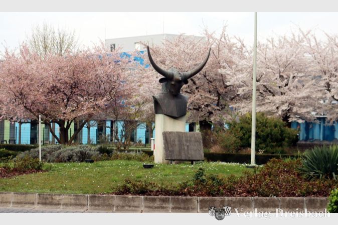 Foto: gus
Auf dem Grüngelände vor der Stadthalle blühen die Bäume, der Pérols-Stier scheint schon mal mit den Füßen zu scharren. Ehe es