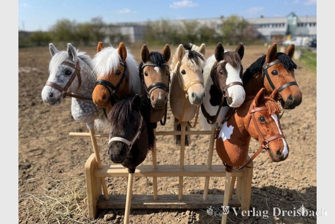 Bild: RSG
Einige Steckenpferde auf dem Paddock des Vereins – mit dieser Grafik hat der Verein am 1. April die Spendenaktion eingeleitet und die Umstellung auf Steckenpferde bekanntgegeben.