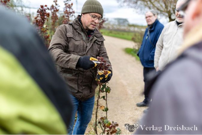 Foto: Sabine Klein / Regionalpark MainPortal gGmbH
Thilo Hildebrandt zeigte, wie Kletterrosen fachgerecht geschnitten werden.