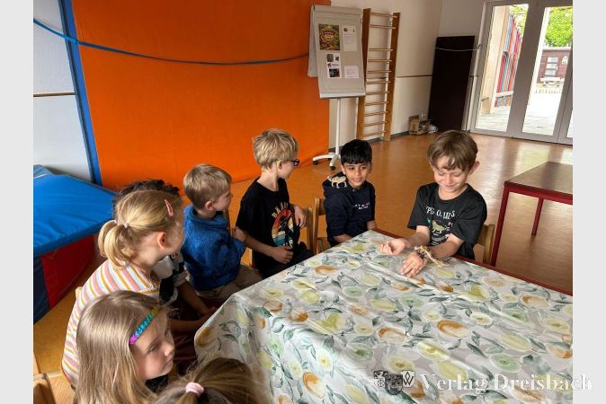 Foto: privat
Aus nächster Nähe und voller Neugier beobachteten die Kinder die verschiedenen Tiere.