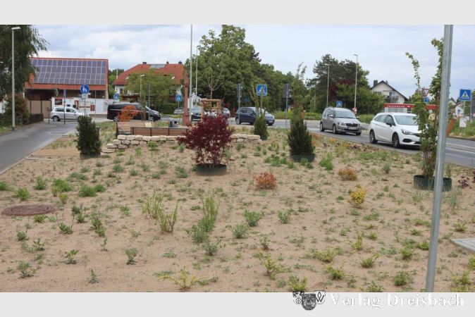 Foto: gus
Die neue Bepflanzung der umgestalteten Grünanlage an der Kirschgartenstraße ist gesetzt,