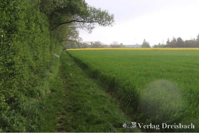 Foto: gus
Der Weilbach soll nach den aktualisierten Planungen den heute komplett von Baumbestand gesäumten Bachverlauf durch einen Schwenk auf dieser Höhe verändern. Seit der Vorstellung dieser Änderung war über den Planungsfortschritt nur noch wenig zu hören. Das soll sich an Montag im Ortsbeirat ändern.