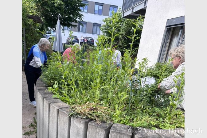Foto: Kursana
Pflanzaktion im Kursana Domizil.