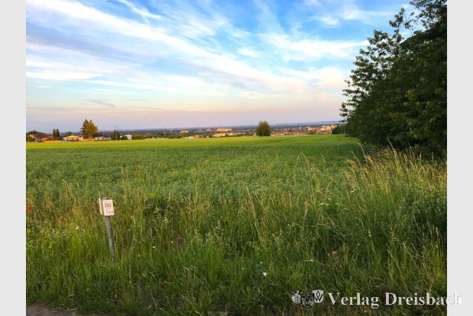 Foto: gus
Im Anschluss an den Grünstreifen östlich des Hunsrückwegs schließt sich ein Acker an, den die Stadt im neuen Regionalen Flächennutzungsplan gerne als Mischgebiet ausweisen würde, um dann einen Investor für einen Nahversorger in dem Bereich zu finden.