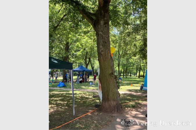 Foto: privat
Schattenspendender Baum am Eddersheimer Mainufer.
