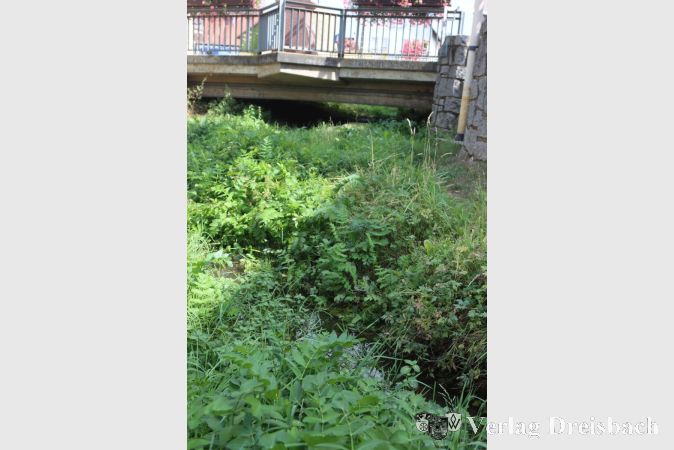 Foto: gus
Die kleinen Nebenflüsse und Bäche retten den Mainpegel auch nicht: Der Weilbach etwa zeigt aktuell in seinem Bett im Weilbacher Zentrum zwar viel Grün, aber nur ein Rinnsal an Wasser.