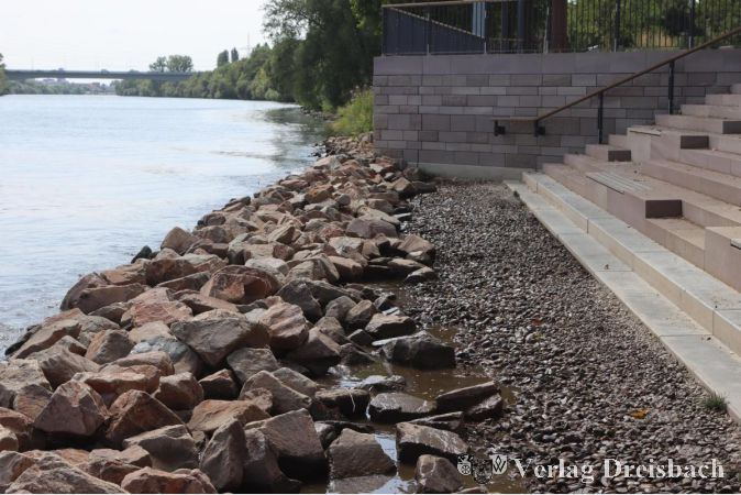 Foto: gus
Ist gerade nichts mit Planschen im Mainwasser zu Fuße des neuen Treppenabgangs an Flörsheimer Ufer. Das Niedrigwasser legt den abgesicherten Bereich immer wieder trocken. Offenbar ist diese Stelle ein guter Maßstab, wie es um den Pegel am Untermain steht.