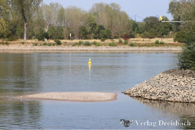 Foto: gus
Am Rhein hat der Niedrigstand erste, sonst im Wasser verborgene Sandbänke freigelegt. Manche Frachter müssen am Ufer festmachen und abwarten, bis wieder genügend Wasser unter dem Kiel ist, Mitte der Woche gab es aber noch eingeschränkten Frachtschiffsverkehr.