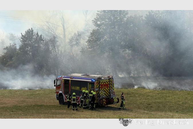 Foto: Feuerwehren Hattersheim
Über 200 Einsatzkräfte waren beim Waldbrand bei Hattersheim im Einsatz.